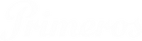 Primary Raster logo